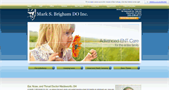 Desktop Screenshot of markbrighamdo.com